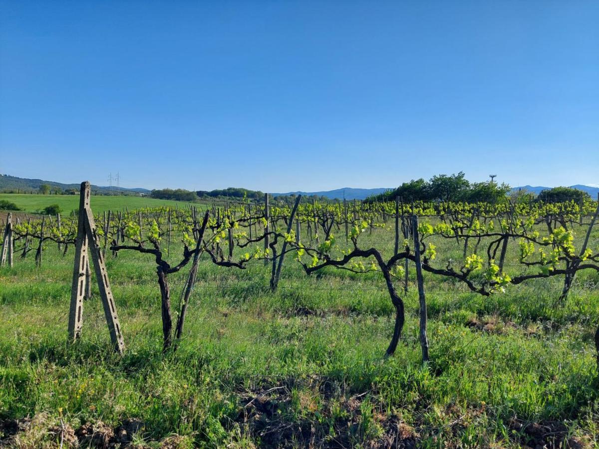 Tenuta I Lecci Terranuova Bracciolini Luaran gambar