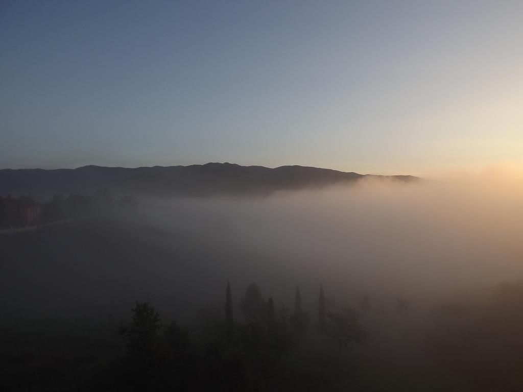 Tenuta I Lecci Terranuova Bracciolini Luaran gambar